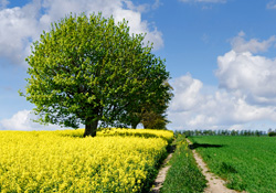Image3